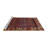 Oriental Indoor Rug-1007213529