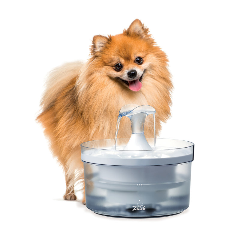 Pet Fountain
