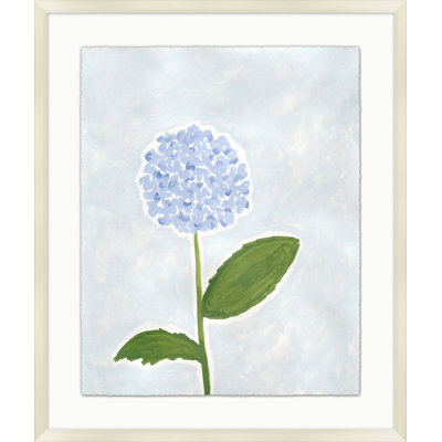 Étude florale de pervenche 1