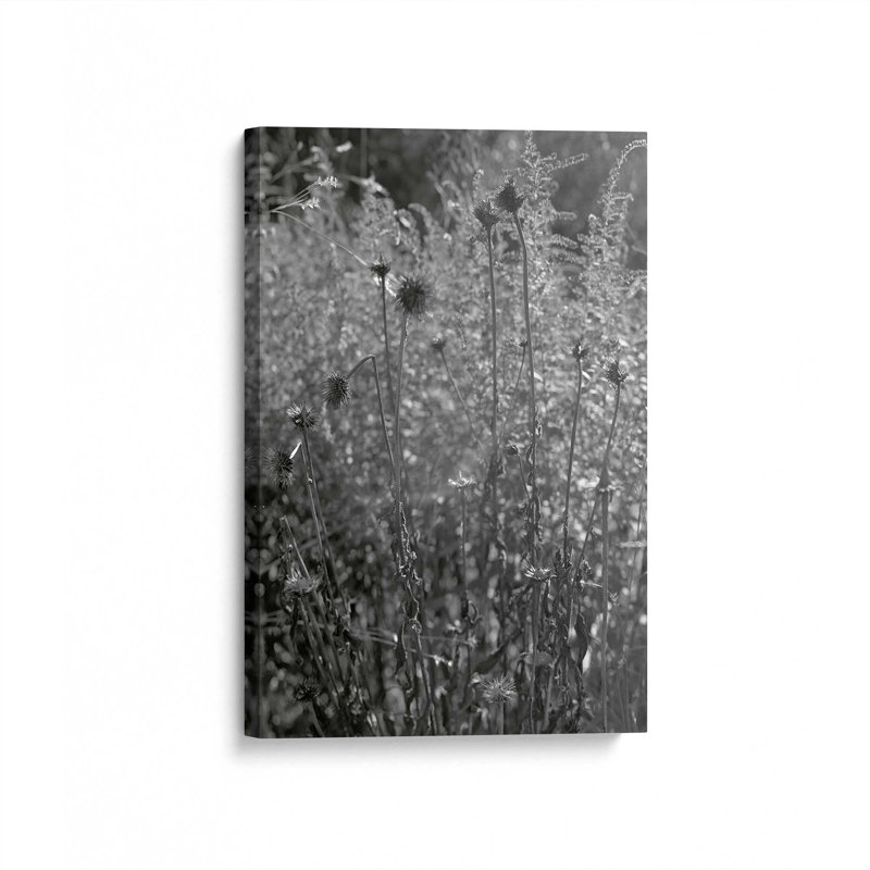 «Coneflowers in Autumn» par Tony Smith, reproduction d'art sur toile, H 30 po x l 20 po