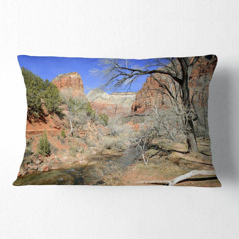Coussin Schafer