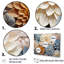 «Simplicity Mums Bloom» en beige et bleu pâle - ensemble d'art sur toile Mums-107759709-107759710
