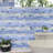 Dreamscape Pacific 24" x 48" Porcelain Patterned Wall & Floor Tile