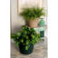 Pot à fleurs Tullie-590995642