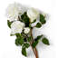 Bouquet Of Roses Three Tone White Real Touch 72 Pcs/3 Varieties-1868985662