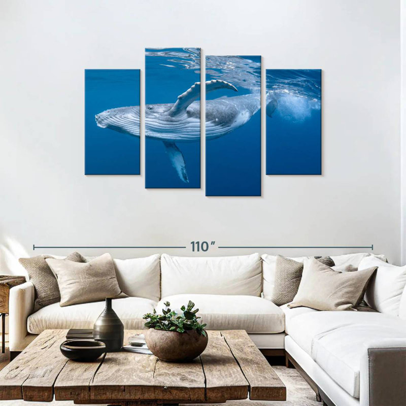 Baleine à bosse Brampt
