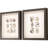 " Shell Series S/2 " by Inspire Studio 2 - Pieces