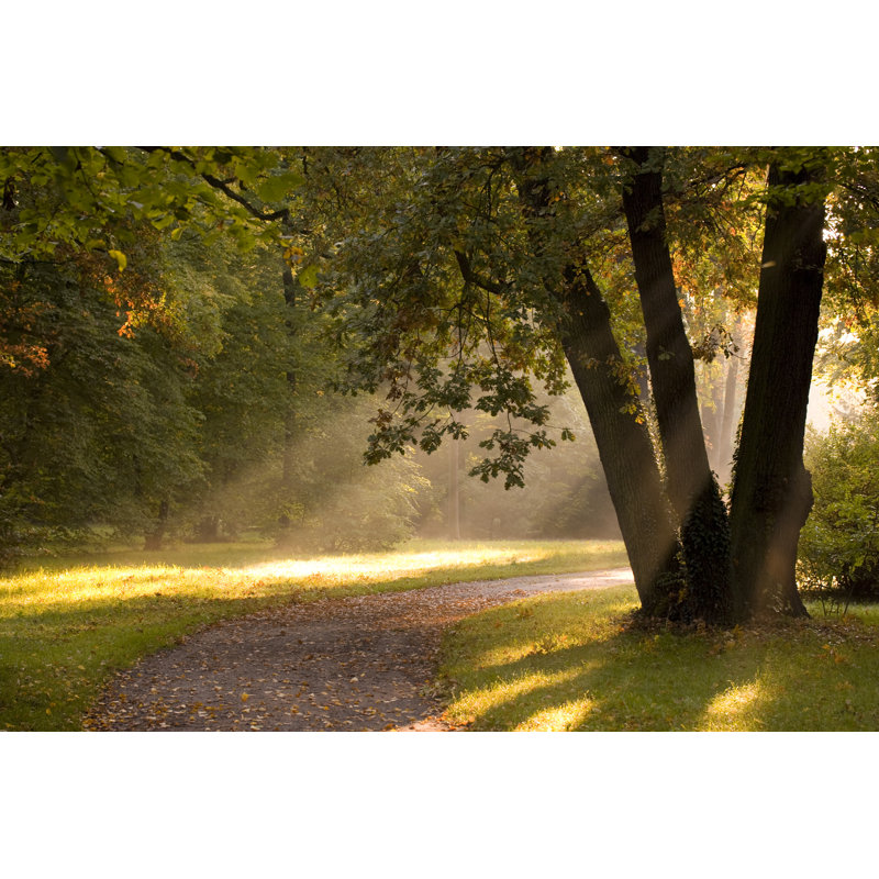 Morning Light by HeikeKampe - No Frame Print on Canvas, 81cm H x 122cm W