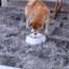 Bol / plat antidérapant
