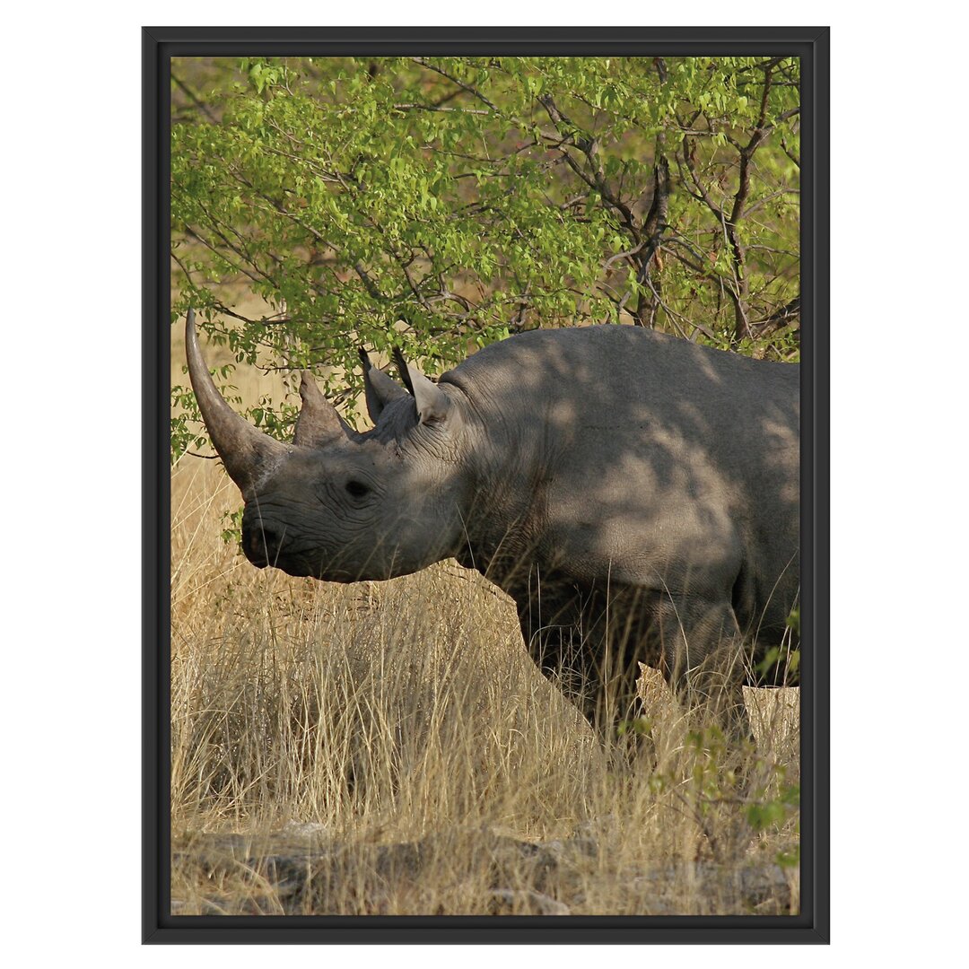 Gerahmtes Wandbild Nashorn in der Savanne