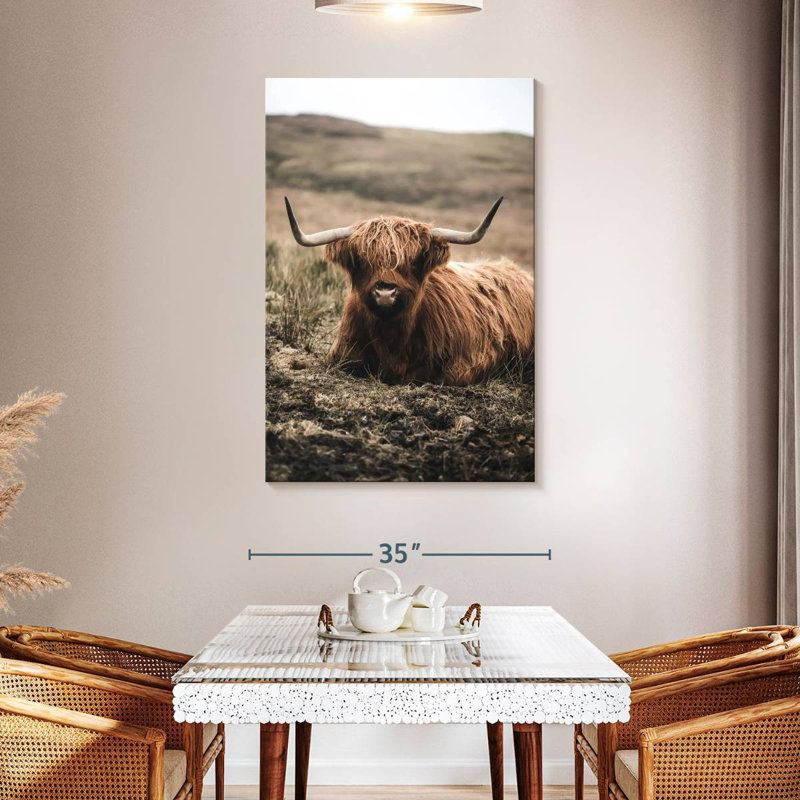 Brampt Still Highland Cow, H 48 po x l 32 po