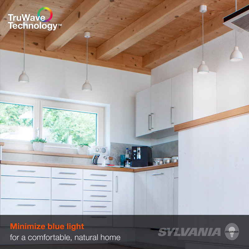 Ampoule DEL Sylvania TruWave G25 E26 (moyenne) lumière du jour, équivalente à 60 watts, paquet de 2