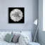  «Dahlia 1 Bw» par Debra Van Swearingen, art mural sur toile, 37 po x 37 po