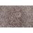 Floral Traditional Area Rug 7x10