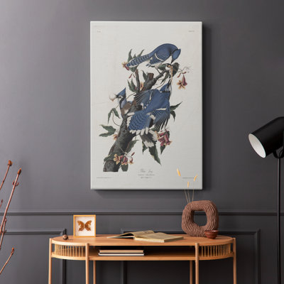 Imprimé animal rétro XXXIV - galerie Cavas