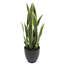 Plante de serpent artificielle Sansevieria en pot-117975296