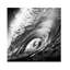 Tunnel Vision Print-26198015