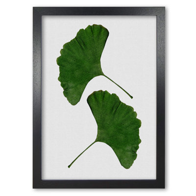 Ginkgo Leaf II - Print