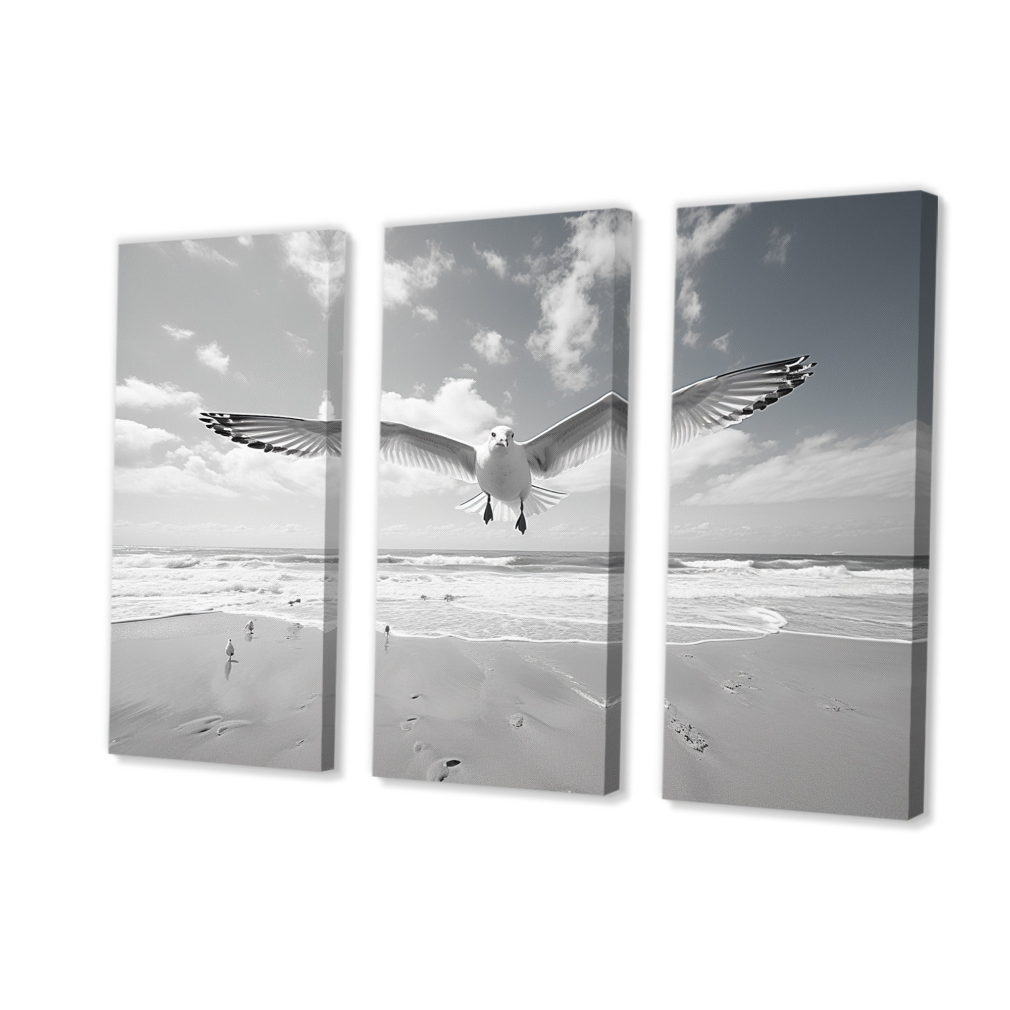 Highland Dunes Grey Beach Seagulls In Flight I - Animals Wall Decor Set ...