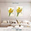 Jonquilles Harnek-108617258