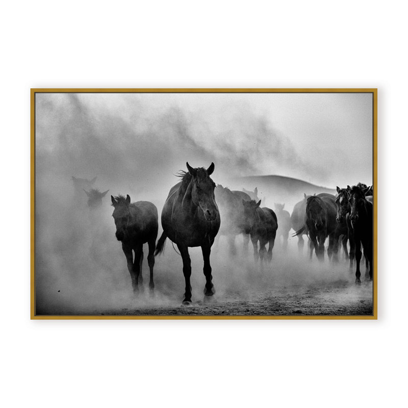 Nature Inspired Untitled by  - Picture Frame Photograph on Paper, 16" H x 24" W x 1.125" D, Black, Framed Matted Print