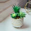 Plante molle artificielle en pot-35758084-35758080