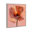 Amber Radiance I Print by Oliver Gal-337204756-337204760