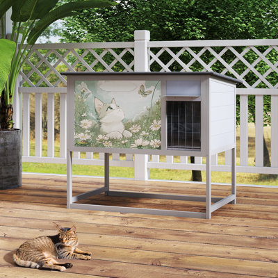 Cat Cage
