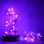 LED Indoor / Outdoor String Lights