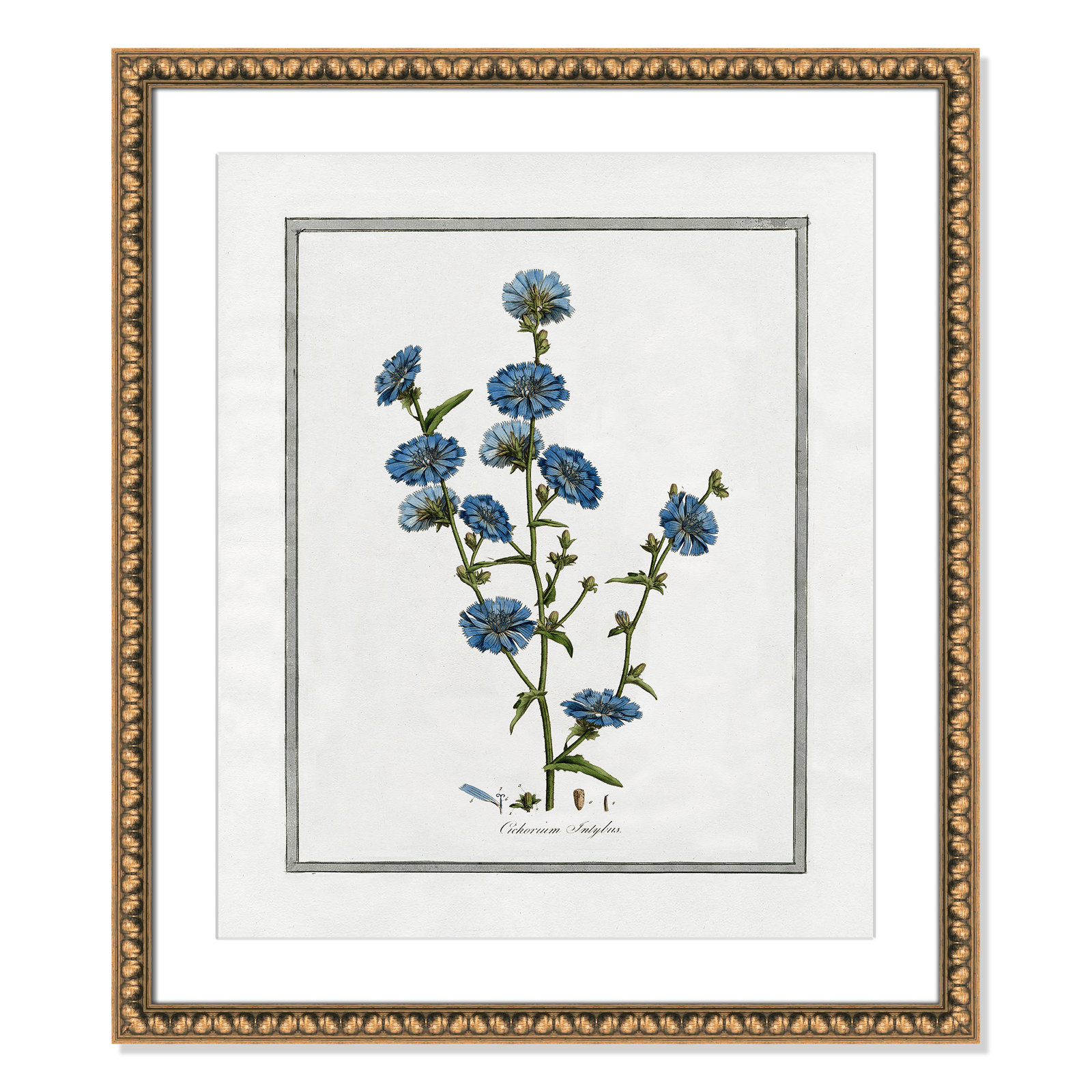 Colombe "Soft Botanical I" Print, Gold Bead Framed, 22.5" W x 26.5" H