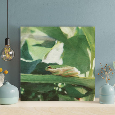 " Frog On Branch "
