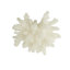 Petite sculpture en corail texturé blanc Bernardus