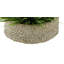 Gazon artificiel 8 po dans un panier-1972723837-1972723836-1941322101