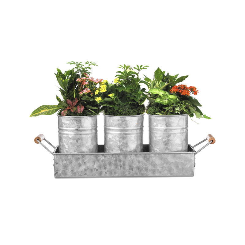 Harutiun Metal Cachepot