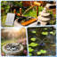 8W Solar Powered Fountain Pump with Low Water Protection, Adjustable Spray Nozzles for Garden Ponds, Bird Baths, and Outdoor Water Features