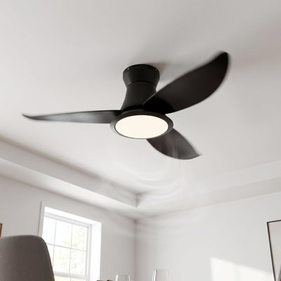 117 Ceiling Fan