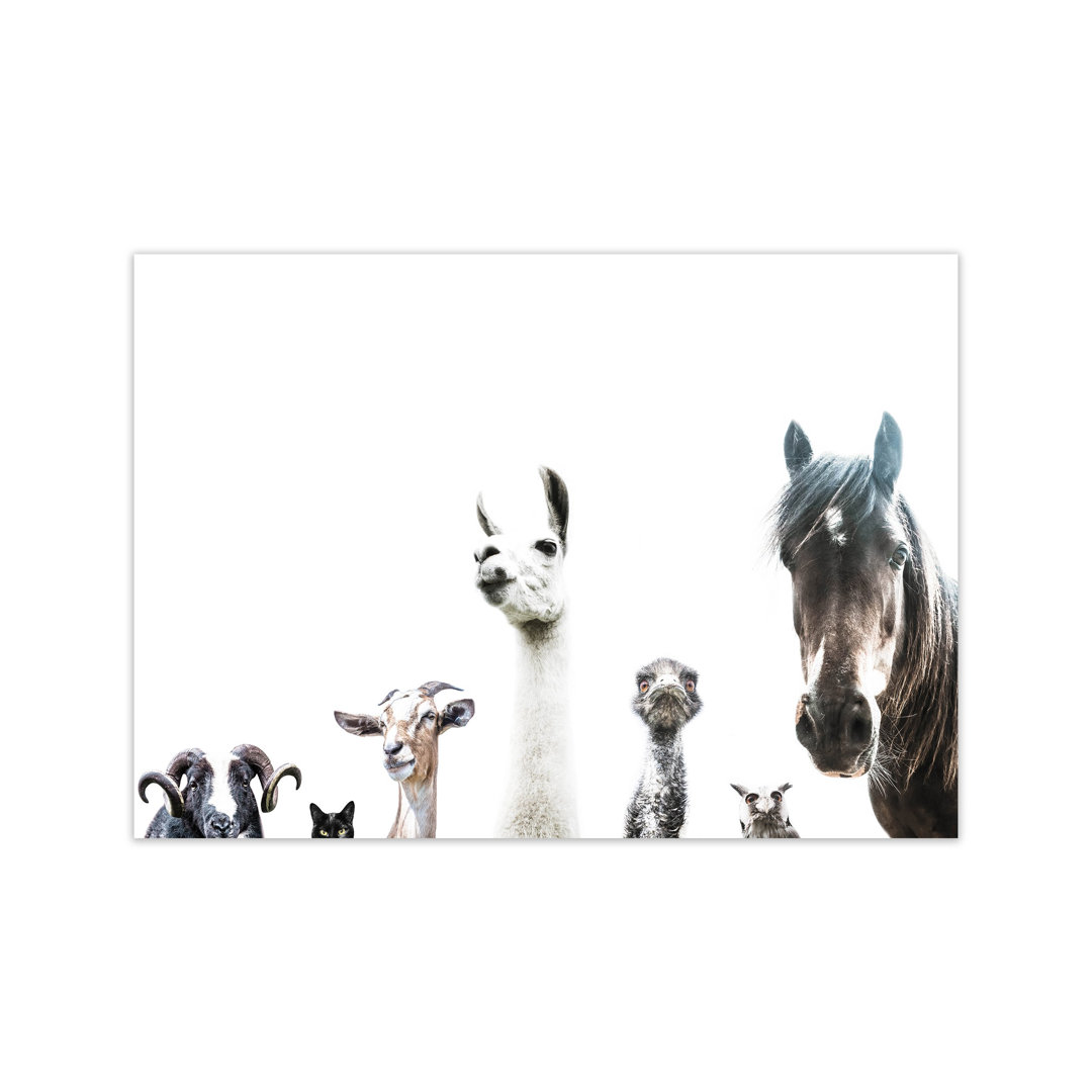 Animal Crew by Victoria Frost - Photograph Print