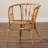 Briannalee 23.25" W Rattan Barrel Chair