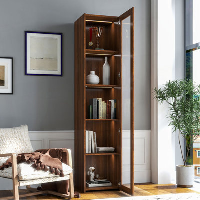 Vitrine avec portes en plaque d'acrylique transparente, armoire de rangement Curio avec 5 tablettes, bibliothèque avec lumières DEL