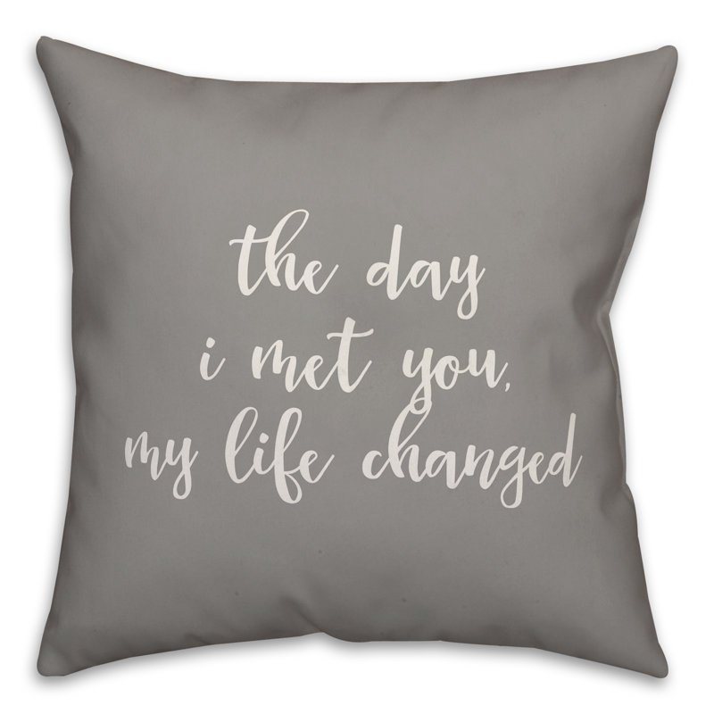  Coussin The Day I Met You My Life Changed, Gris, Coussin et housse de coussin