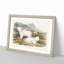 Rocky Mountain Goats by J.W. Audubon - Picture Frame Painting Print-55618385-55618389