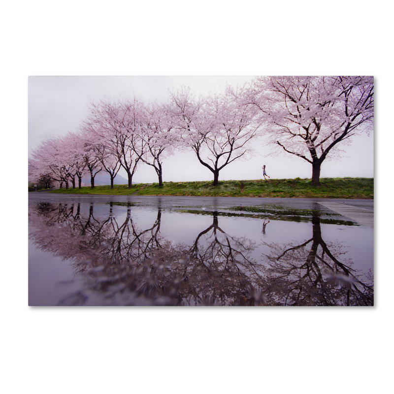 « rain of spring », reproduction de photo sur toile tendue, 16 po x 24 po
