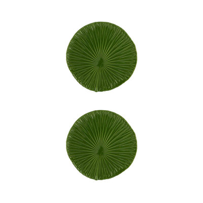 Amazōnia Earthenware Chargers
