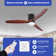 Kudrete 52'' Ceiling Fan with LED Lights