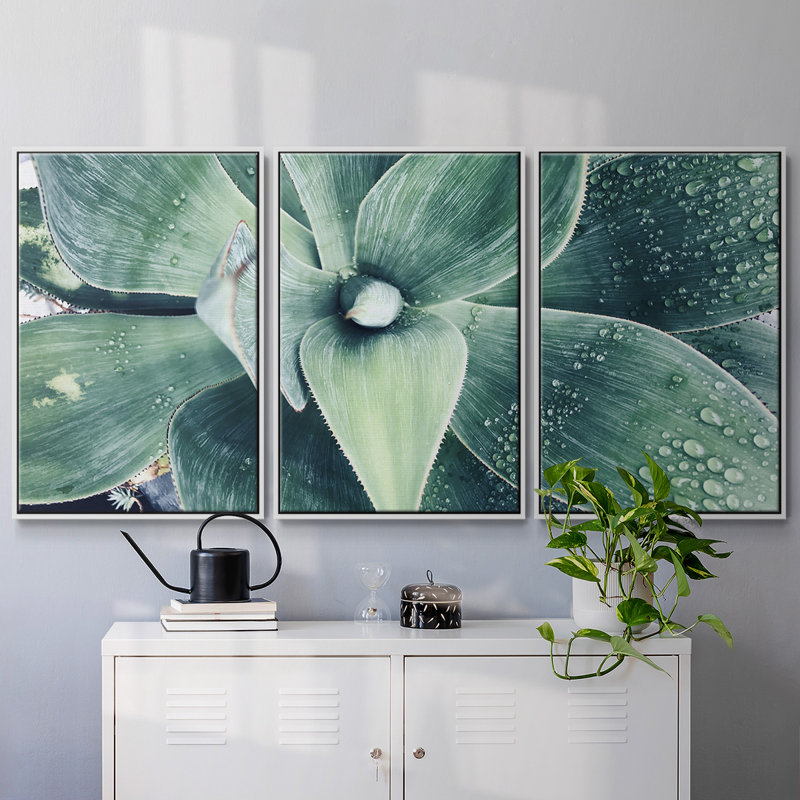 «Green Tropical Succulent», reproduction d'art encadrée sur toile, 3 pièces, H 24 po x l 48 po x P 2 po, Blanc