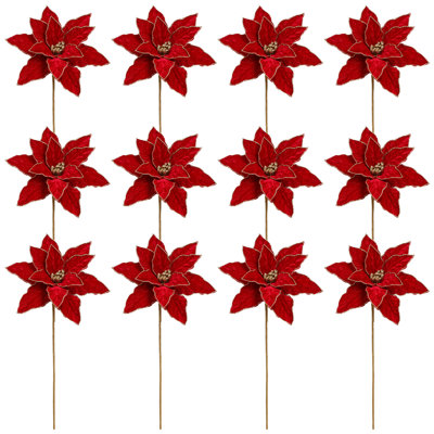 Jet de poinsettia classique, ensemble de 12 à 20 pouces