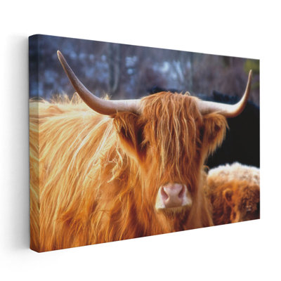 Highland Cow Sunshine - reproduction d'art sur toile