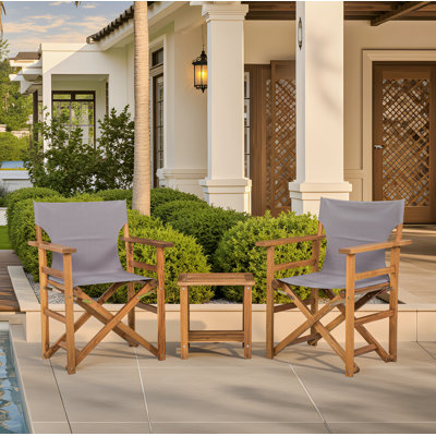 Solid Wood Folding Director Chair (Set of 2)