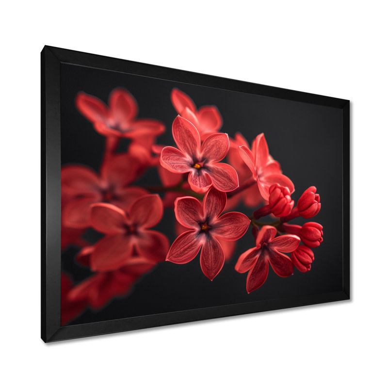 «Red Black Romantic Lilac Beauty», reproduction d'art lilas, Cadre simple noir, H 12 po x l 20 po