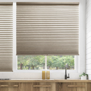 Cordless Blackout Cellular Shade